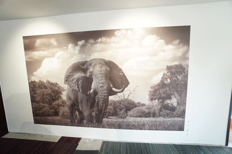 impression grand format sur mur